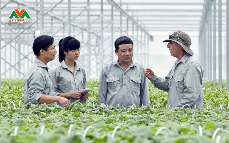 Một số việc làm đang được tuyển dụng tại Mỹ hiện nay - Hãng óc chó