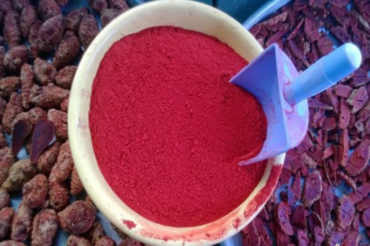 Thuốc om gà chọi mà các sư kê thường hay dùng
