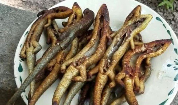 cách làm thịt rắn mối