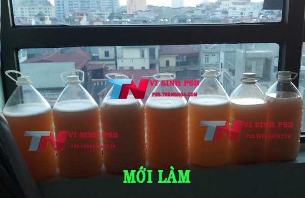 Psb mới làm