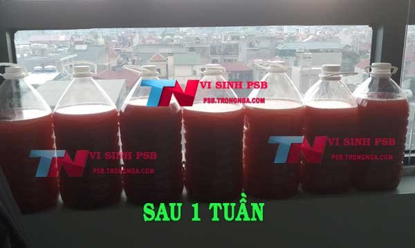 psb sau 1 tuần