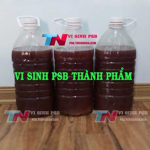 psb thành phẩm