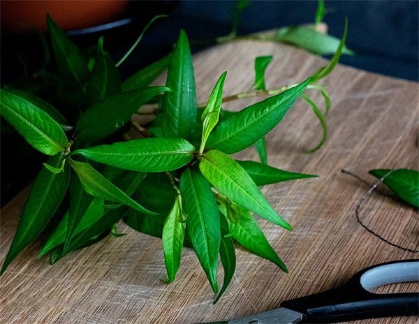 Rau răm là một trong những loại rau khử mùi tanh hiệu quả.