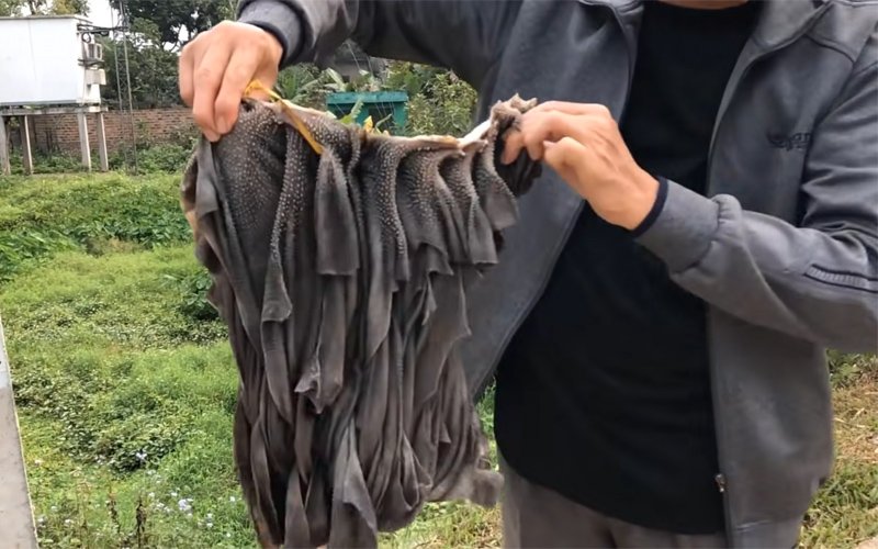 Sách bò chưa được tẩy trắng Sách bò chưa được tẩy trắng