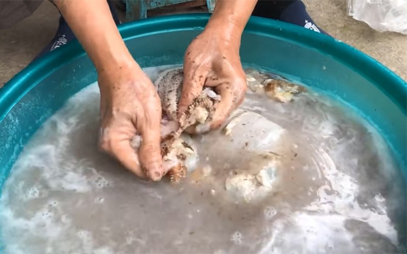 Rửa sạch sách bò với nước ấm hoặc nước sôi vừa Rửa sạch sách bò với nước ấm hoặc nước sôi vừa