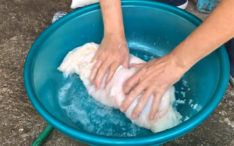 Bóp muối đều quanh sách bỏ và rửa sạch Bóp muối đều quanh sách bỏ và rửa sạch