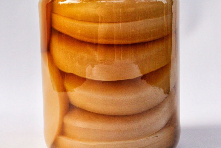 scoby hotel