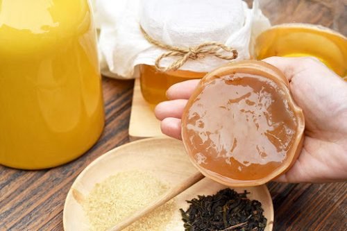 Scoby là gì?