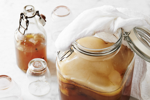 Scoby khỏe mạnh
