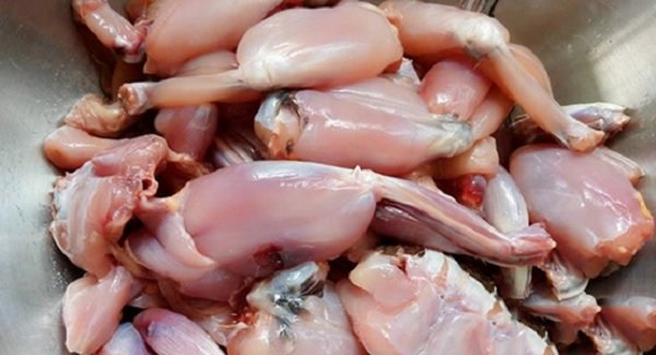 Sơ chế thịt ếch