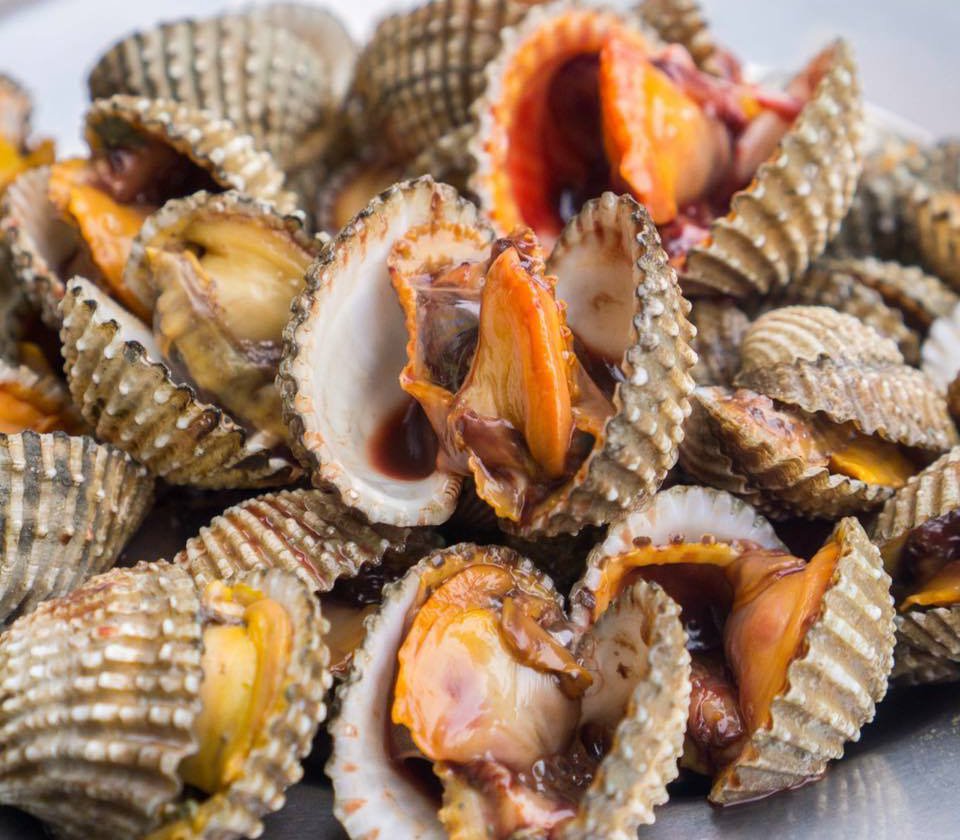 sò huyết sò huyết
