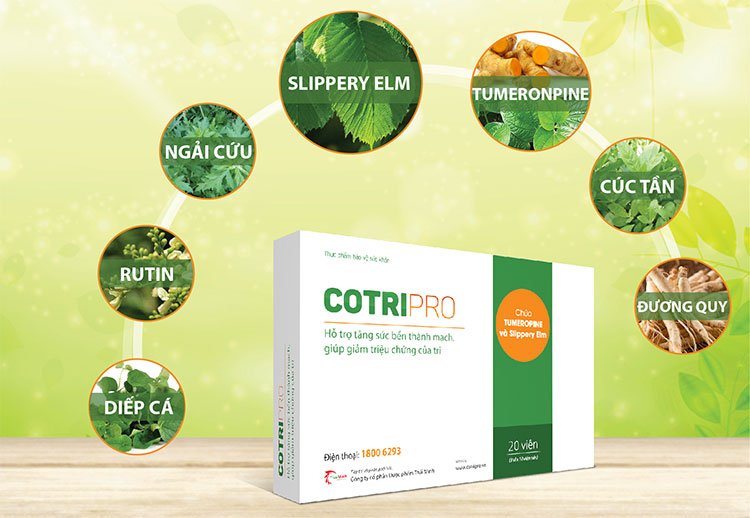 Cotripro Gel - Gel bôi co nhỏ búi trĩ, giảm đau rát, khó chịu do trĩ gây ra 2