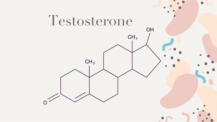 Sử dụng thảo dược làm giảm testosterone 1