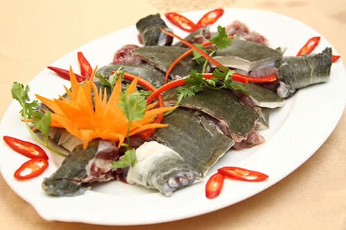 thịt ba ba