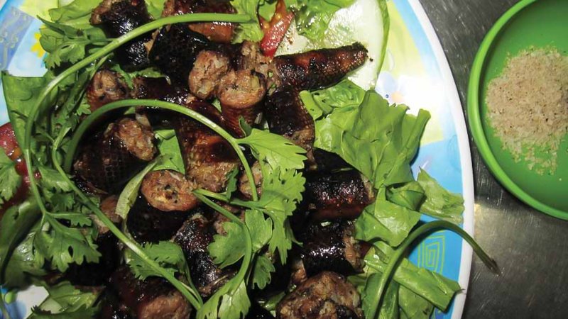 Rắn dồi Rắn dồi
