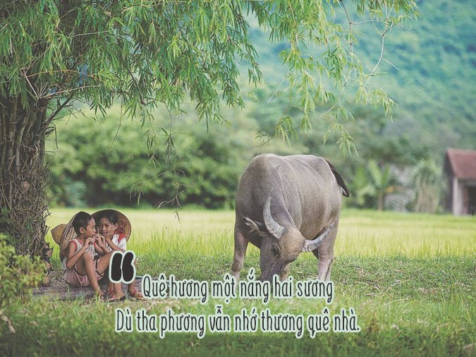 tho-luc-bat-ve-que-huong-voh-3