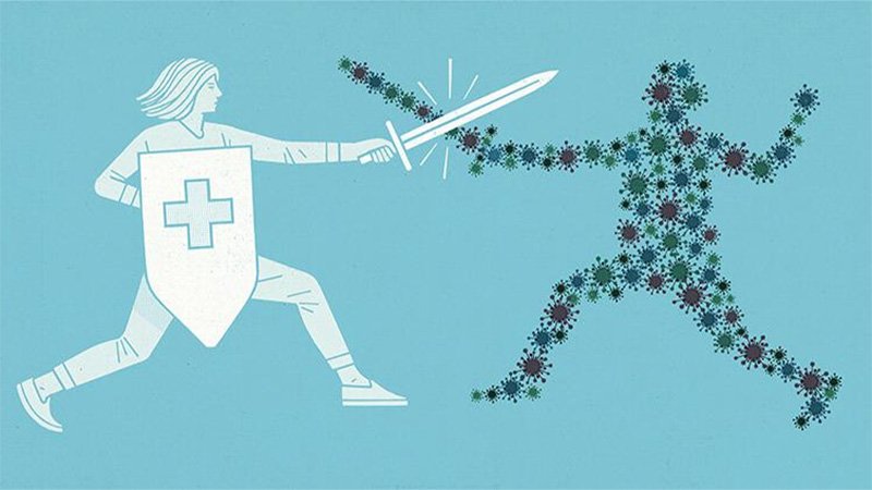 Các chất chống oxy hóa trong thịt cua giúp tăng cường hệ miễn dịch