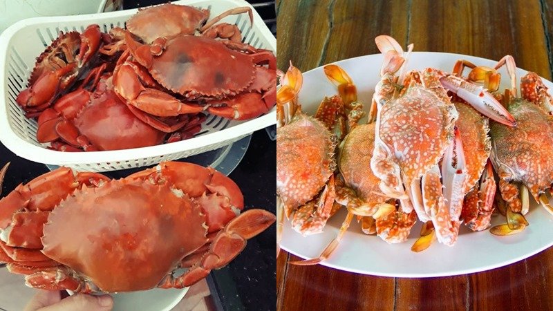 Cua nấu chín có màu cam đậm hơn ghẹ