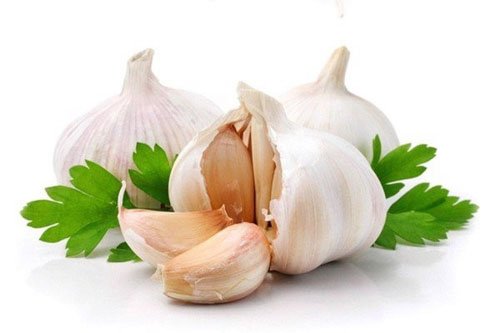 Tỏi điều trị răng lung lay