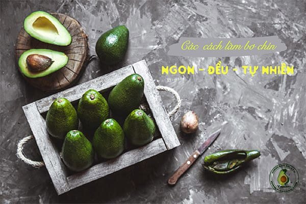 cách làm bơ nhanh chín