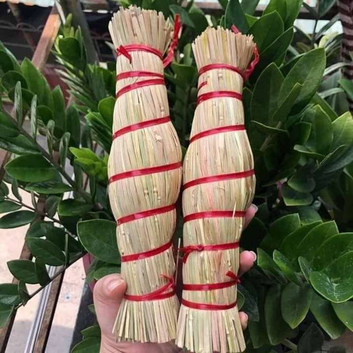 bảo quản tré