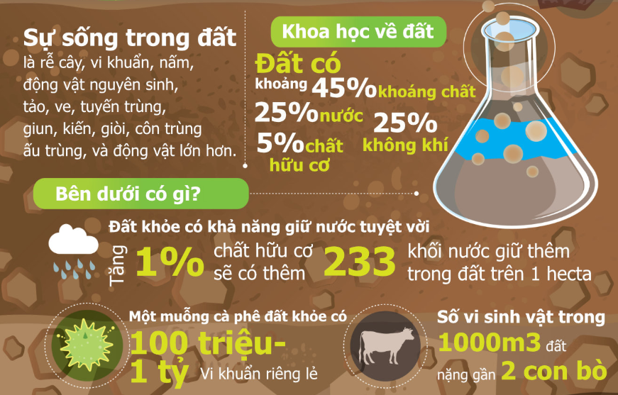 cach-lam-dat-toi-xop