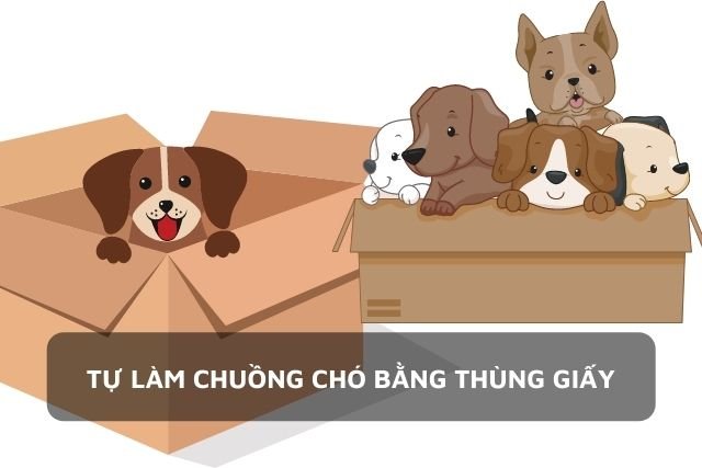 Chú chó vui vẻ trong thùng giấy carton