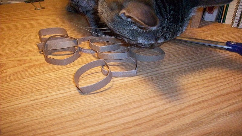 Vòng giấy từ lõi giấy vệ sinh Vòng giấy từ lõi giấy vệ sinh