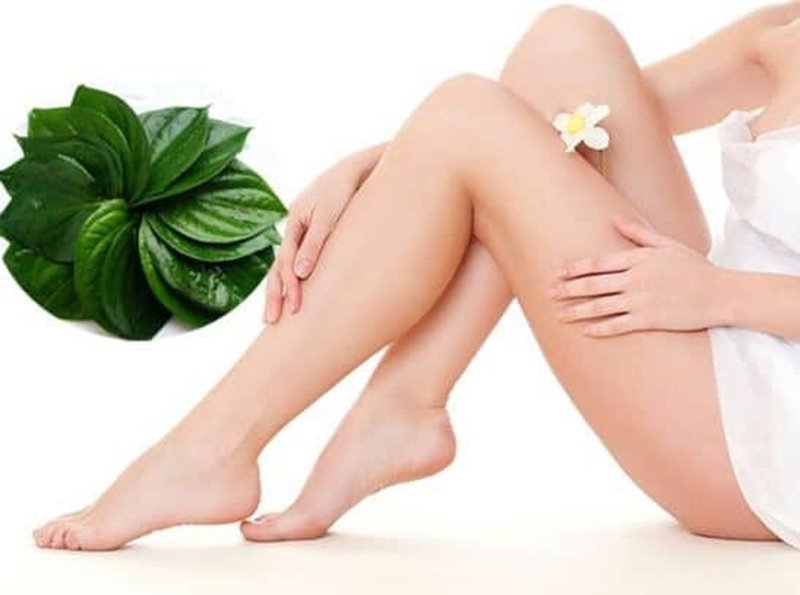 Lá trầu không giúp vùng kín thêm hồng hào
