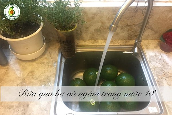 ủ bơ bằng nước