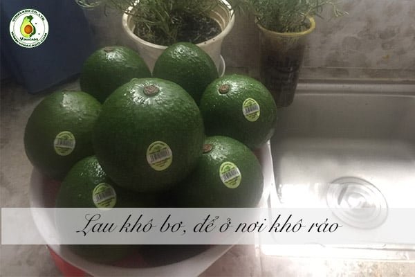 ủ bơ bằng nước 2
