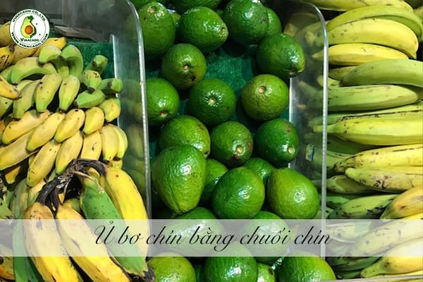 cách ủ bơ bằng chuối