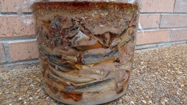 Ủ mắm cá nục ở nơi thoáng mát, sạch sẽ