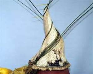 uốn cây theo rãnh