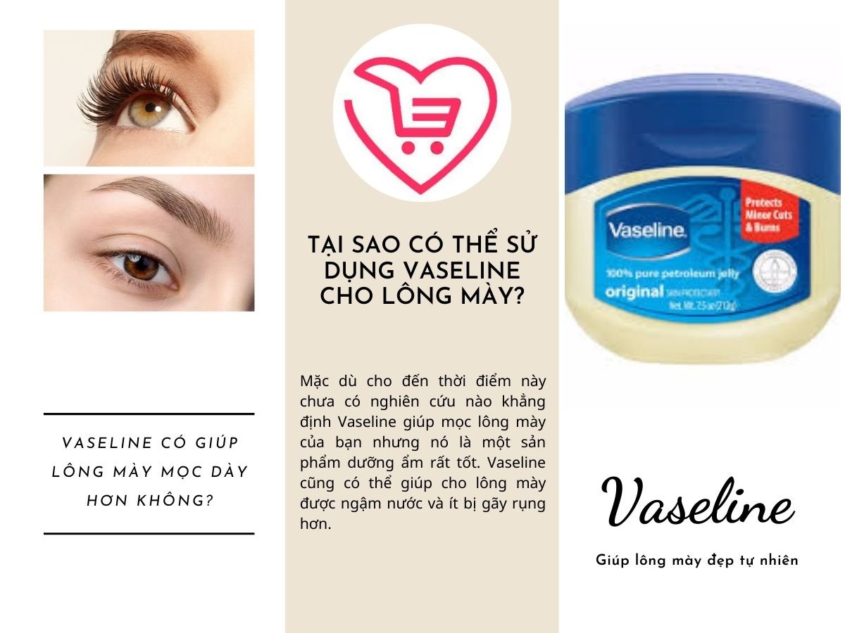 Vaseline giúp lông mày mọc nhanh?
