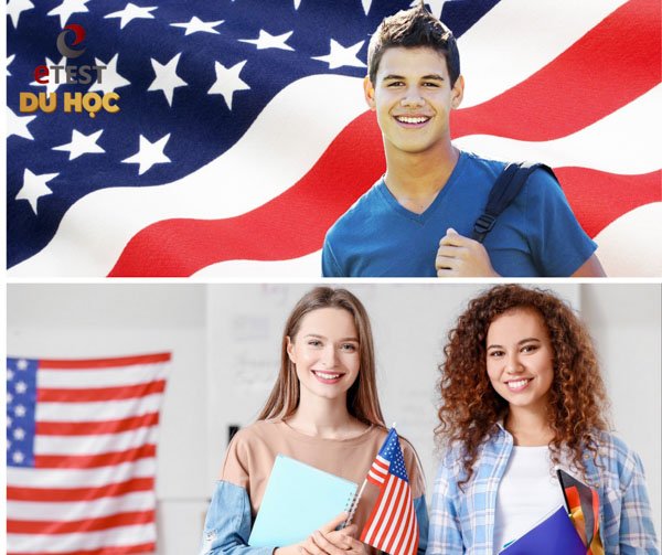 VNIS Education TPHCM cung cấp dịch vụ uy tín dành cho các tổ chức giáo dục