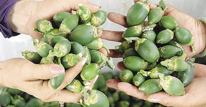 Vỏ quả cau là phương pháp làm trắng răng dân gian