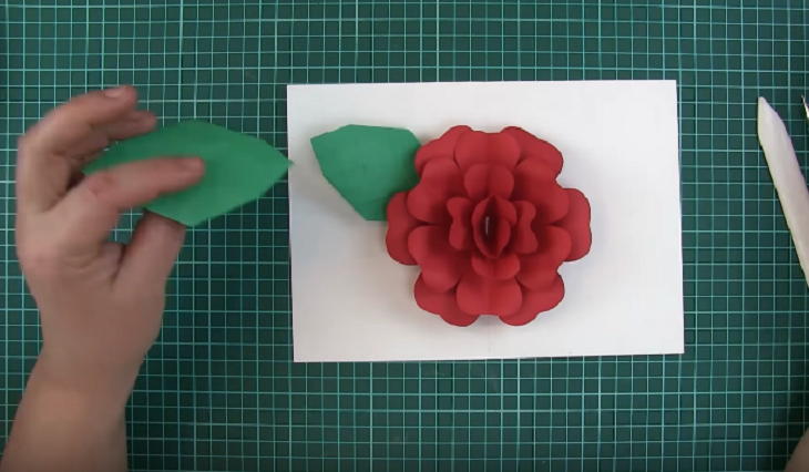 Cắt thêm lá để trang trí hoa