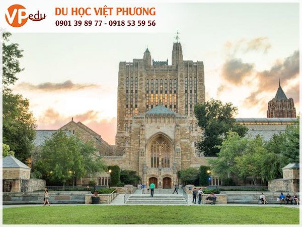 Yale University - Top 10 trường đại học danh tiếng tại Mỹ 