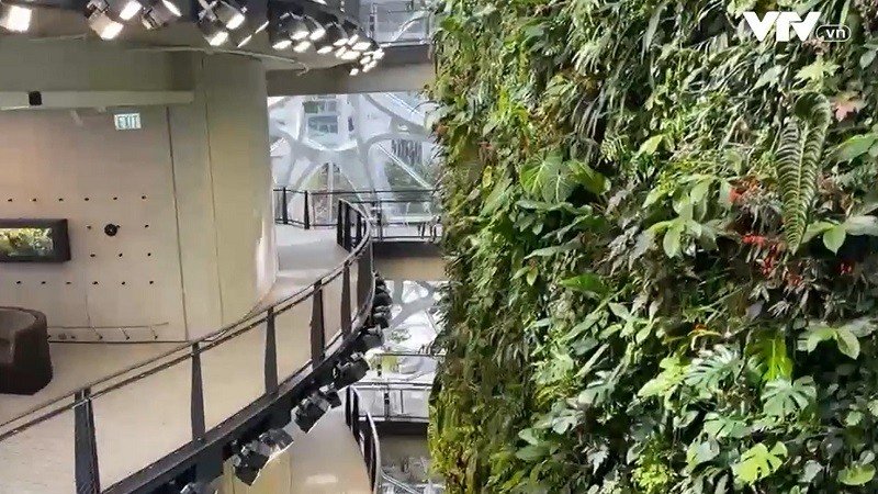 Khám phá trụ sở chính của Amazon tại Mỹ - Ảnh 1. Khám phá trụ sở chính của Amazon tại Mỹ - Ảnh 1.
