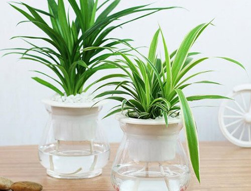 Cách hóa giải phong thủy khi giường ngủ đối diện cửa nhà vệ sinh
