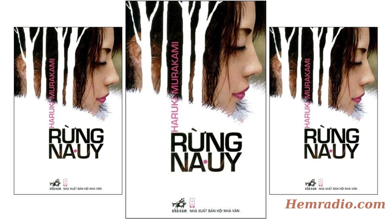 Đánh giá tiểu thuyết Rừng Na Uy