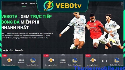 Giới thiệu chung đơn giản về trang web Vebotv