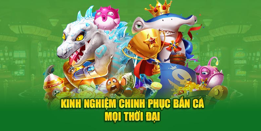 Kinh nghiệm chinh phục bắn cá mọi thời đại