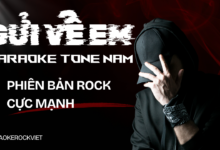 Gửi Về Em Cover Rock