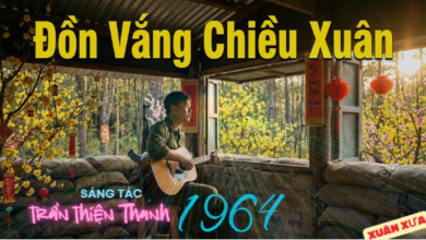 Đồn anh đóng ven rừng mai